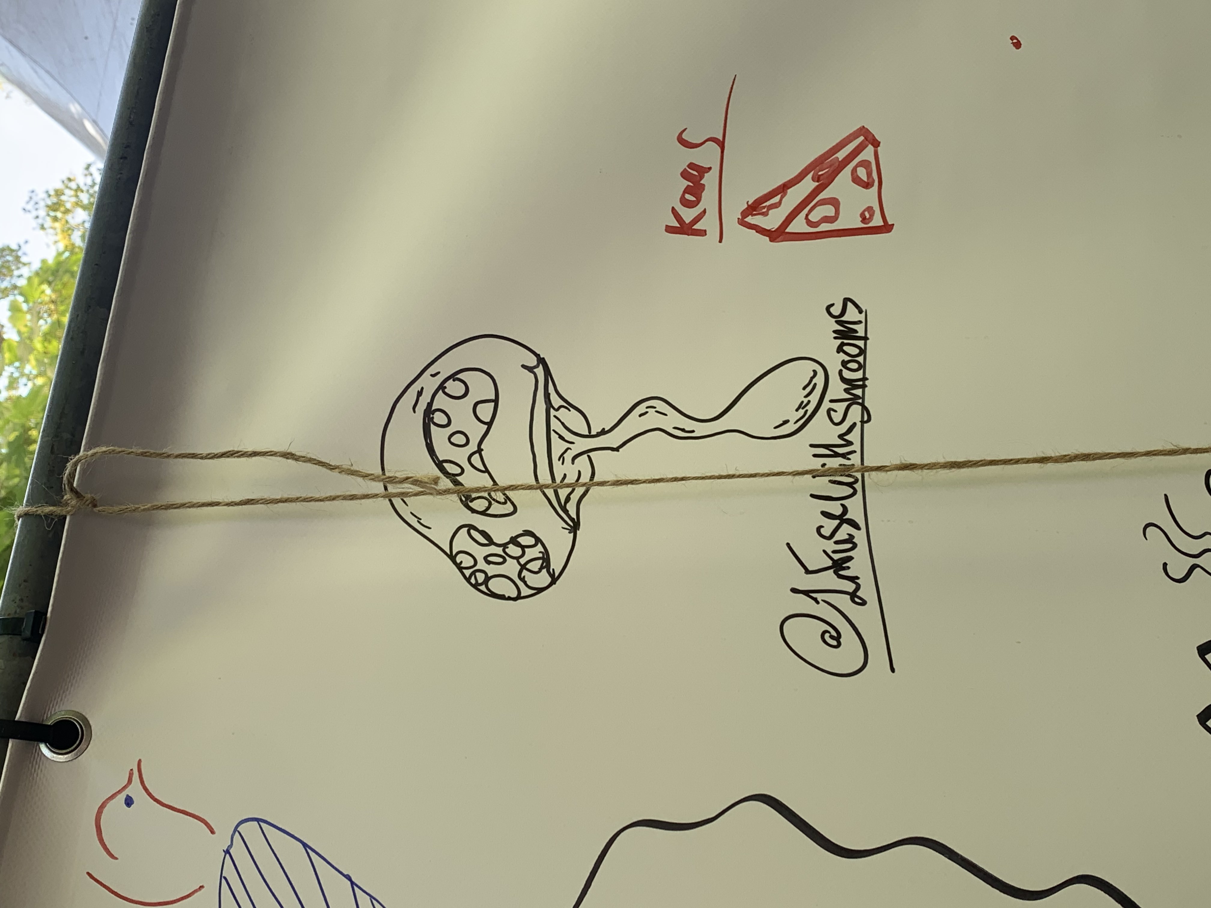 Bevrijdingspop Haarlem